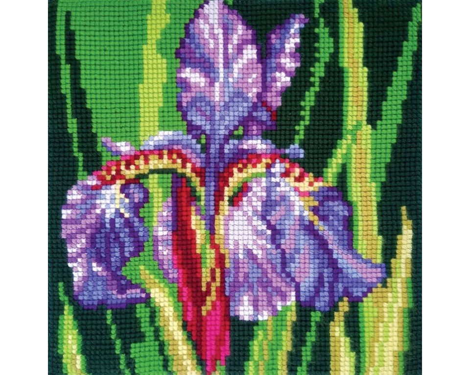 Iris, Article: 5 485
