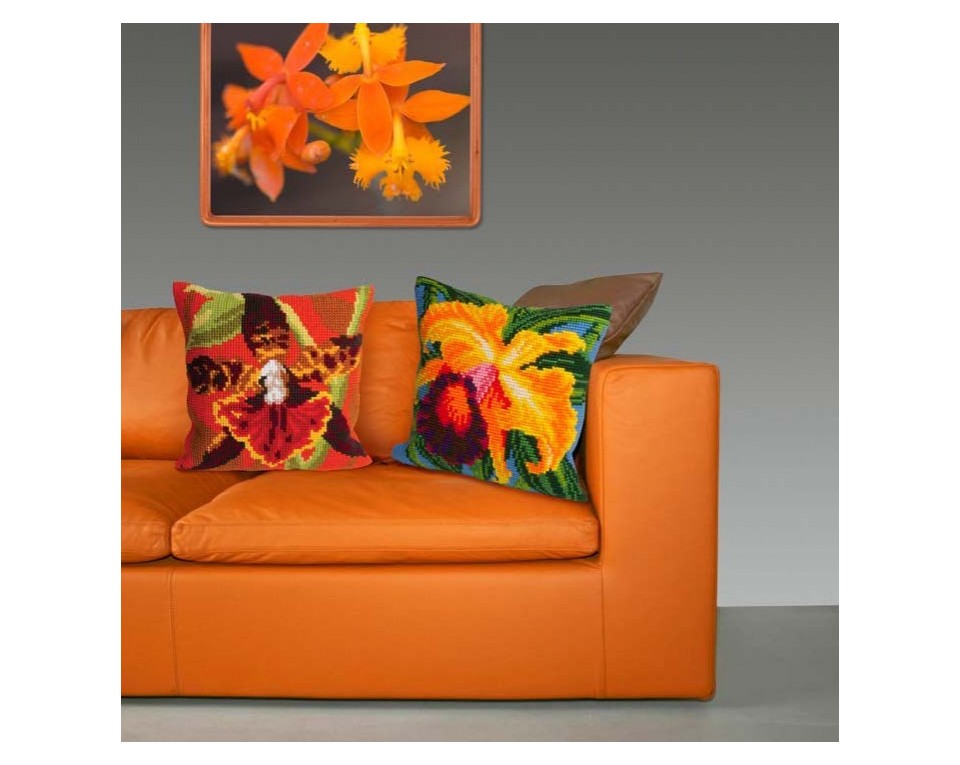 Tiger Orchid, Article: 5 001