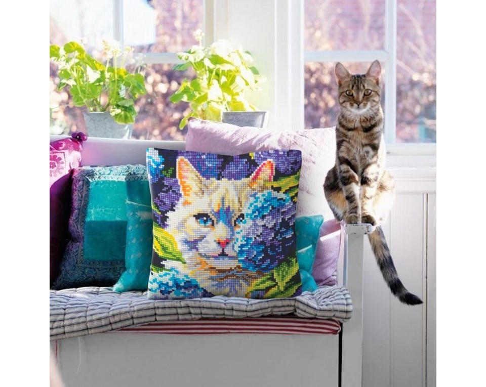 Cat in hydrangeas, Article: 5 501