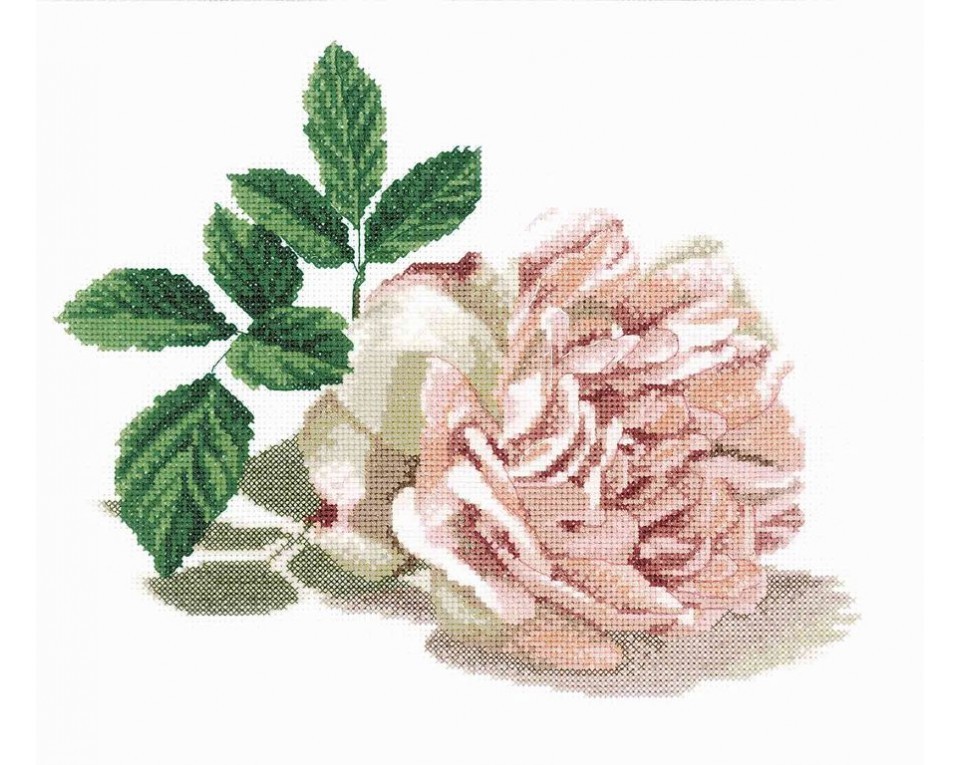 Cross-Stitch Kit "Rose", Article: M297