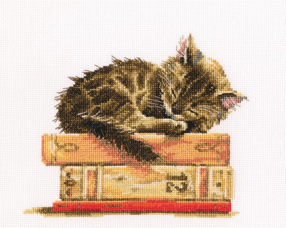 Cross-stitch kits "Cat, Article: M642