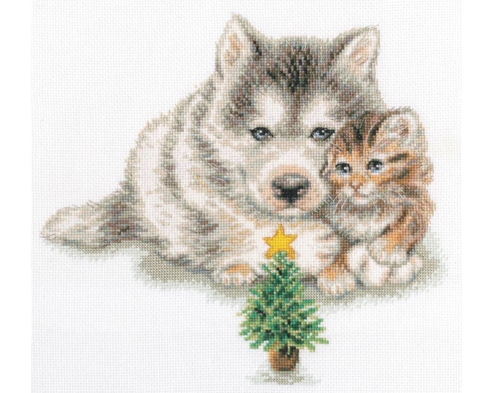 Cross-stitch kits, Article: M904