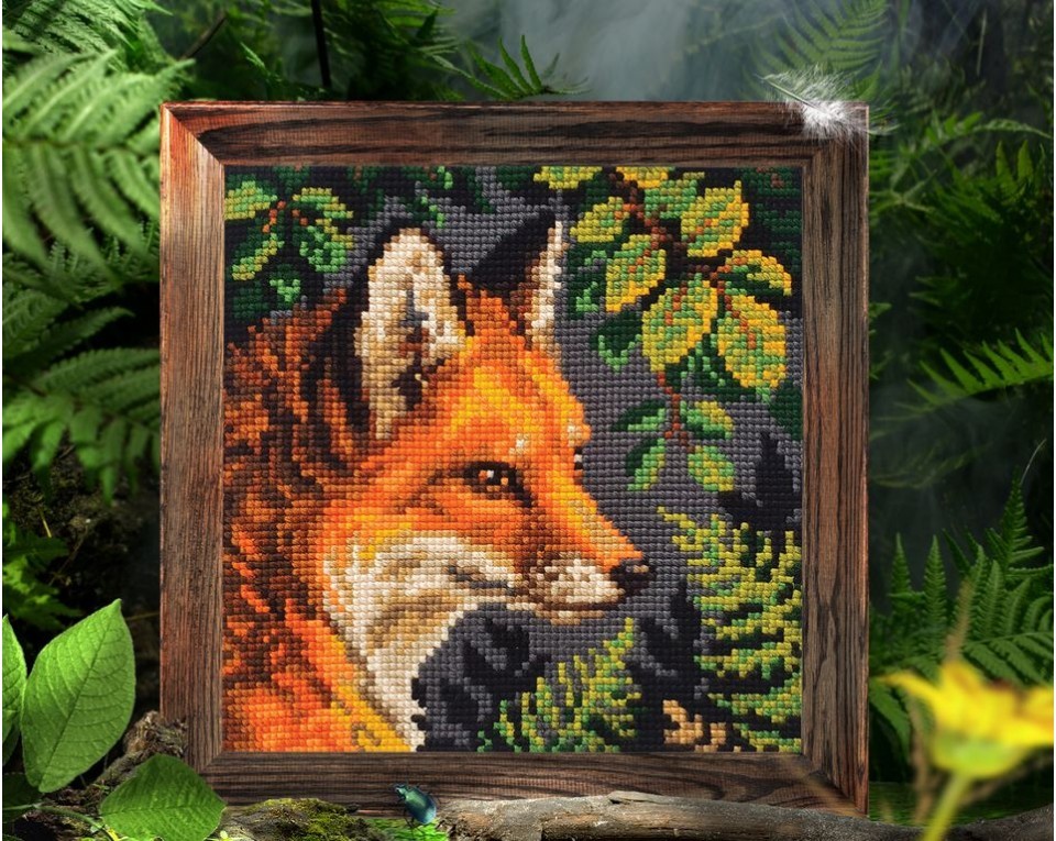 Fox, Article: 5 442