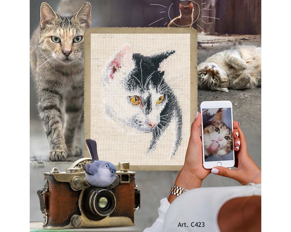 Cross-stitch kits, Article: C423