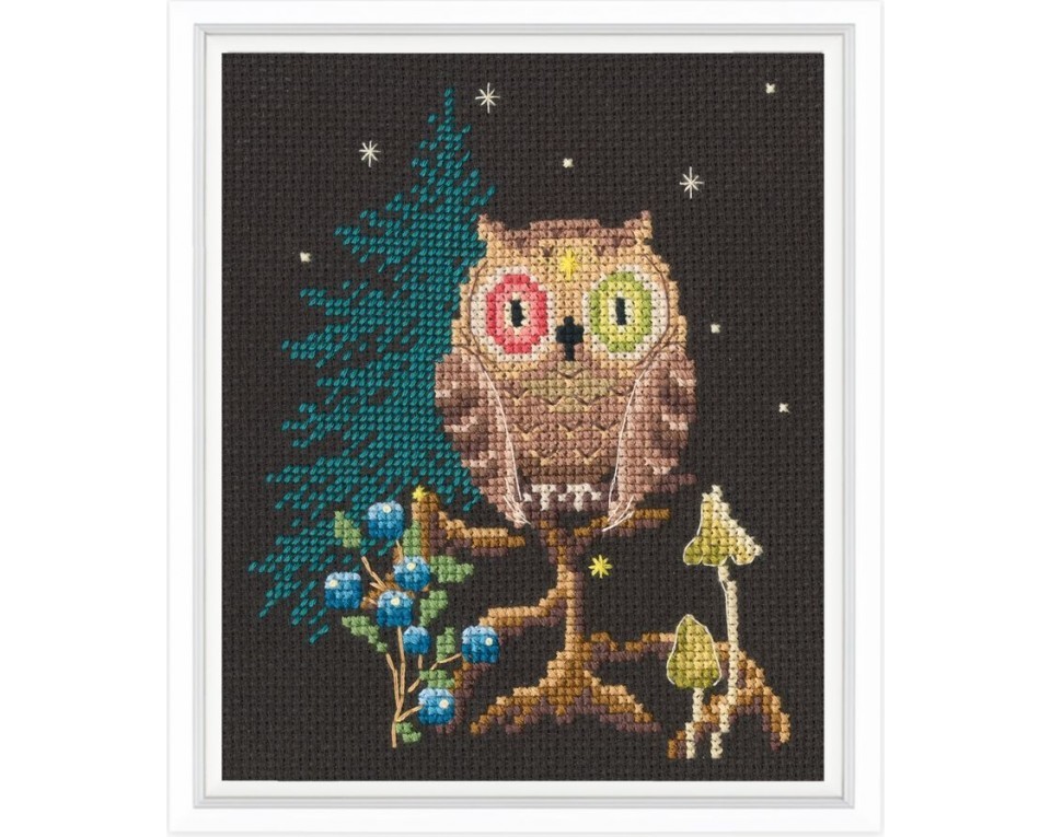 Cross-stitch kits, Article: C436