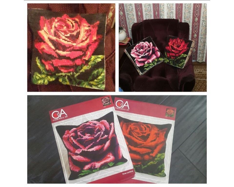 Red Velvet Rose, Article: 5 104