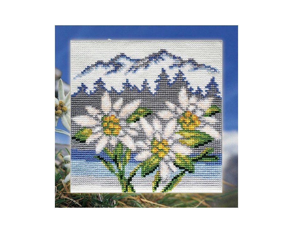 Edelweiss, Article: 5 440