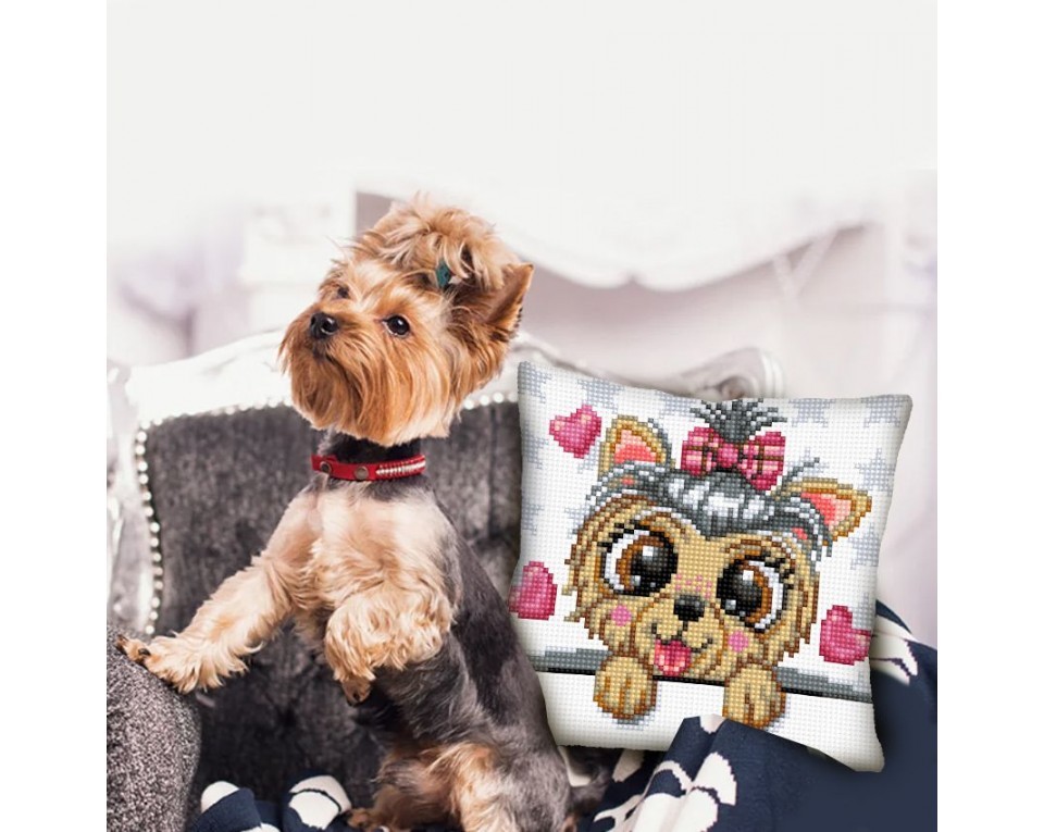 Yorkshire terrier, Article: 5 434