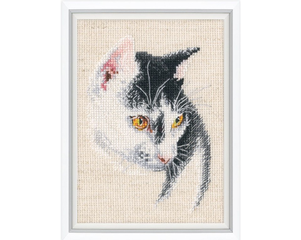 Cross-stitch kits, Article: C423