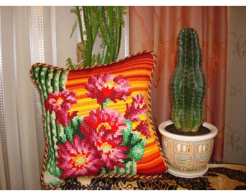 Sunset Cactus, Article: 5 101