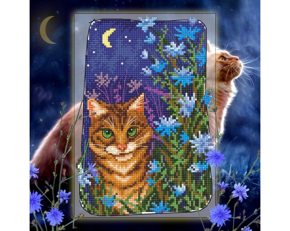 Cross-stitch kits, Article: C352