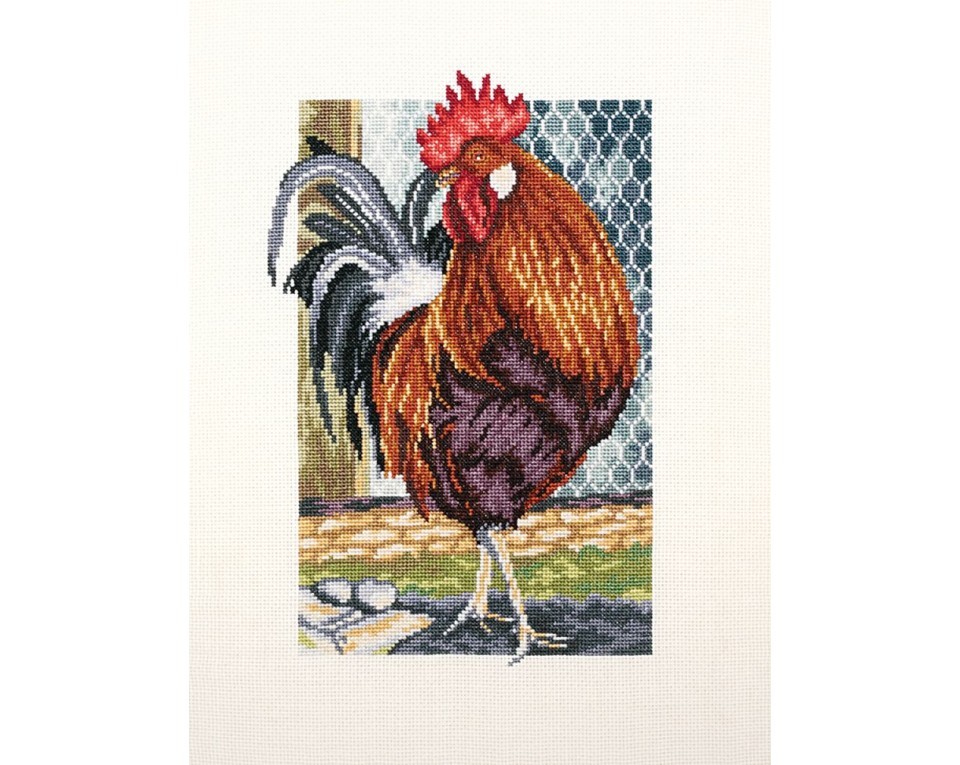 Rooster on the walk, Article: M350