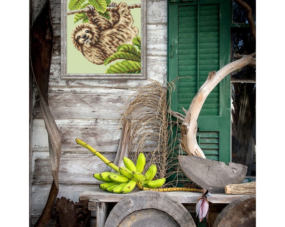 Sloth, Article: 5 426