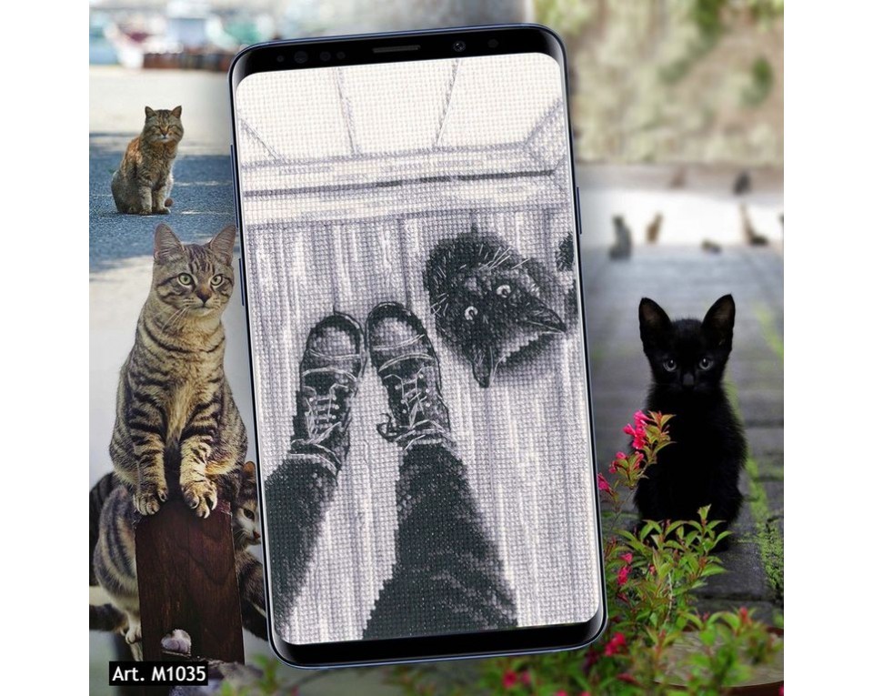 I`m just a kitten, Article: M1035