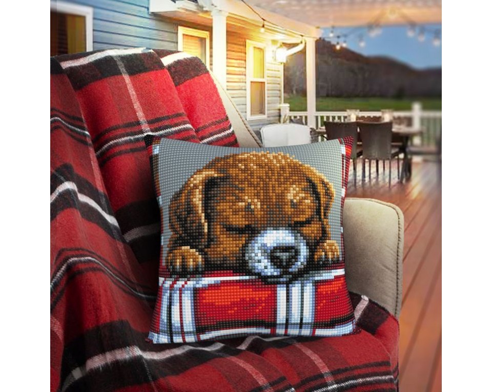 Beloved puppy, Article: 5 482