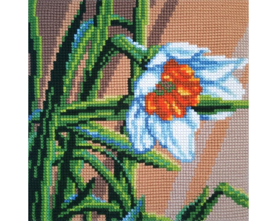 White narcissus, Article: 5 487