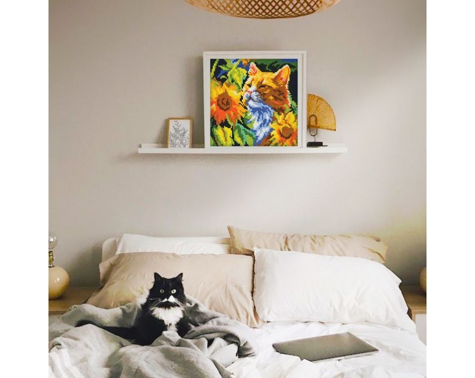 Cat in sunflowers, Article: 5 502