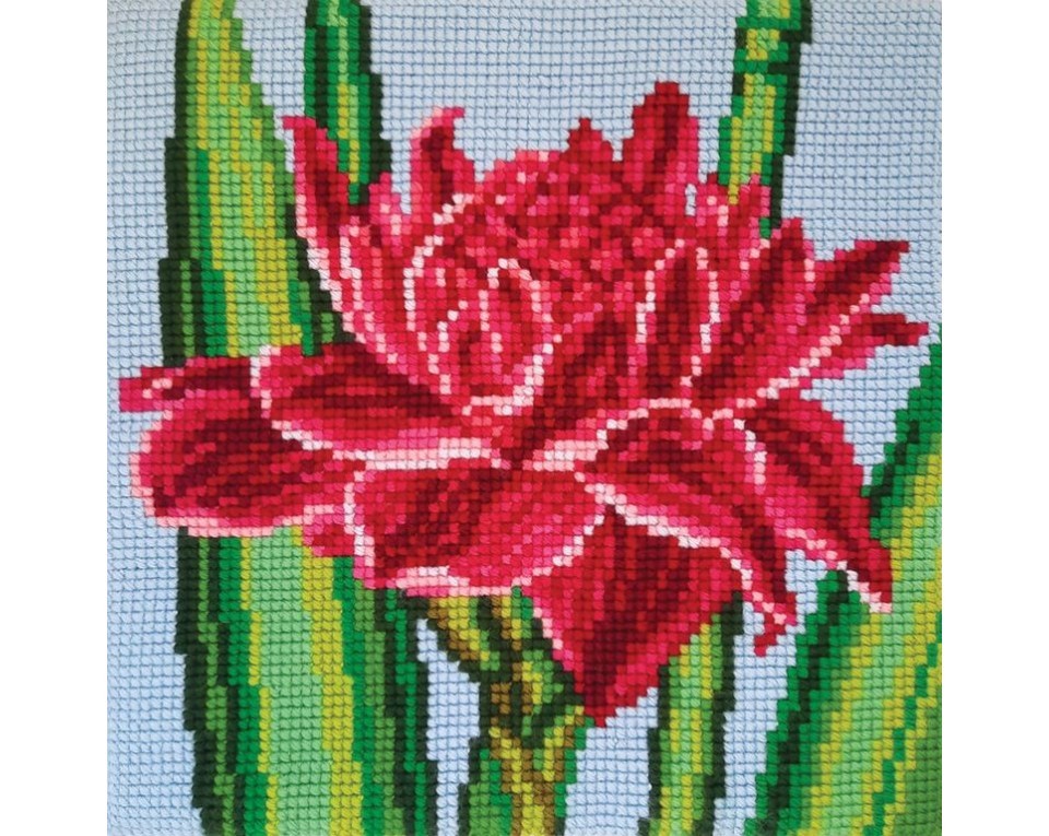 Lotus, Article: 5 486
