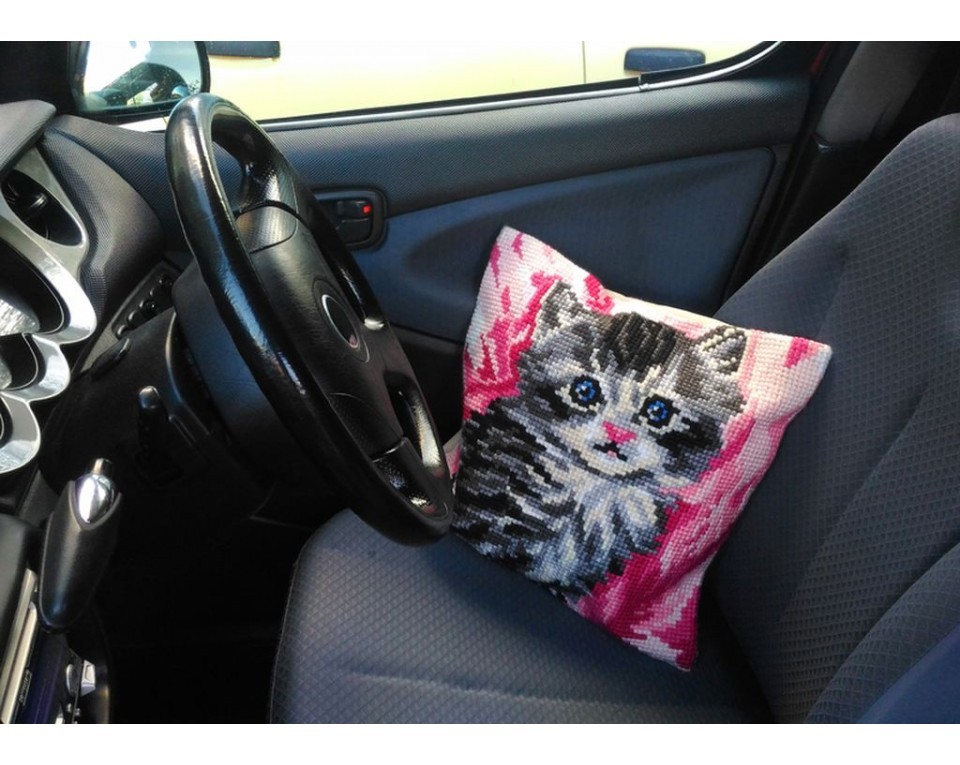 Cute Kitten in Pink, Article: 5 164