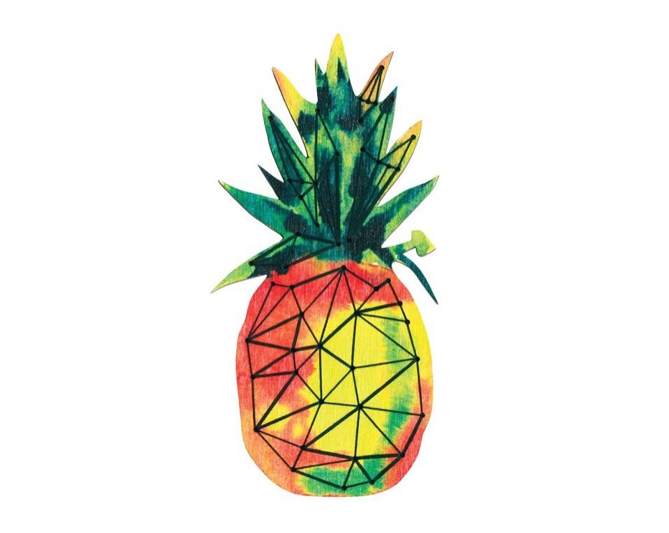 Plywood magnet kit with an applied design "Rich Fruits", Article: CW001
