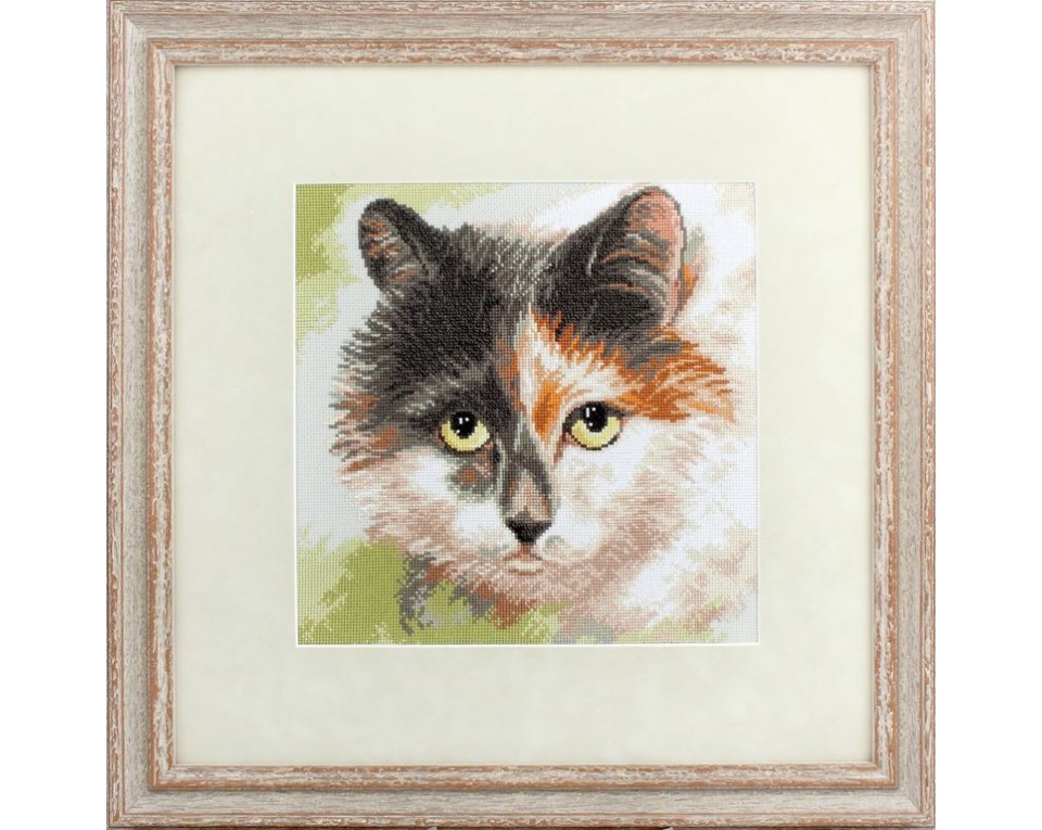 Cross-Stitch Kit "Cat's eyes", Article: M414