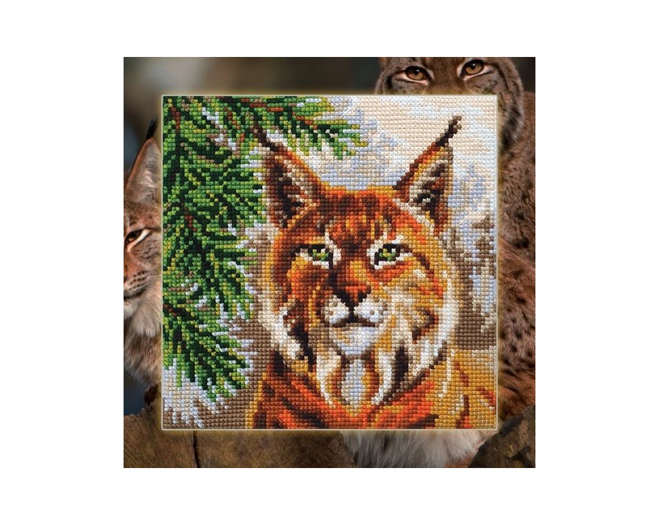Lynx, Article: 5 438