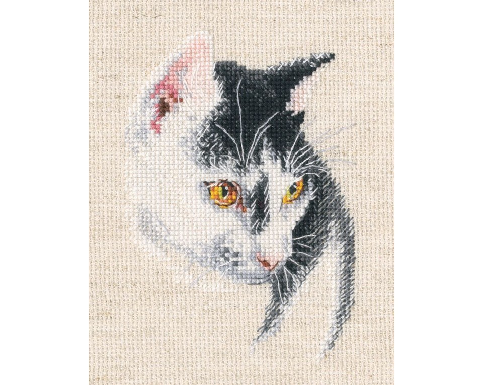 Cross-stitch kits, Article: C423