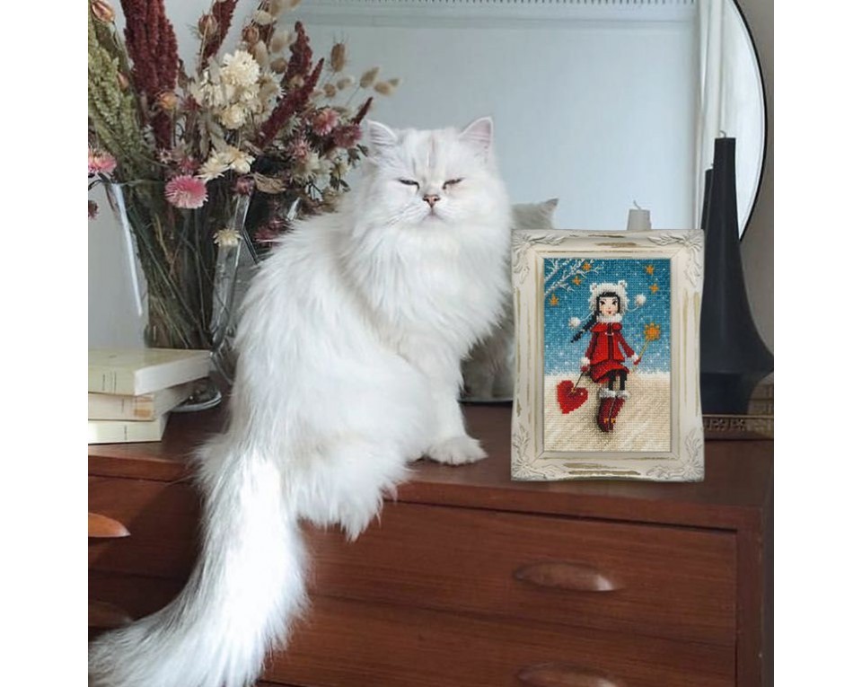 Cross-stitch kits, Article: C378