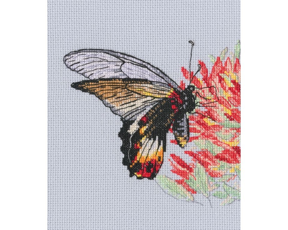 Cross-stitch kits "Nectar for butterfly", Article: M755