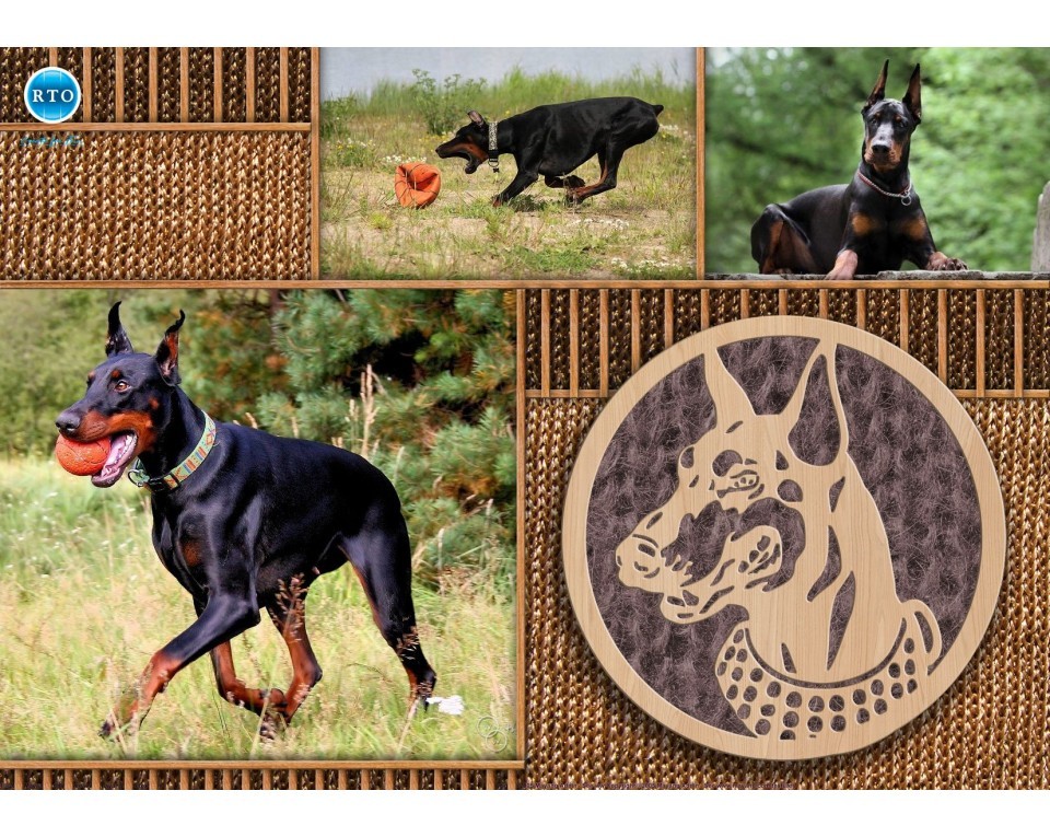 Plywood form "Buratini" - "Dog medal", Article: DZ70048