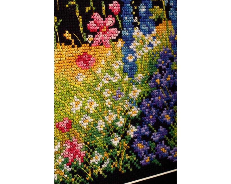 Cross-stitch kits "Delphinium and cosmos", Article: M626