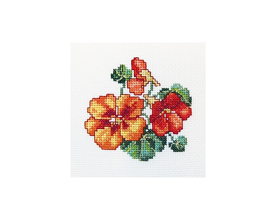 Cross-Stitch Kit "Nasturtium", Article: H244