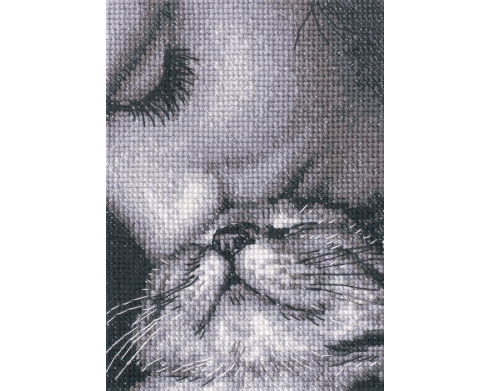 Cross-stitch kits, Article: C425