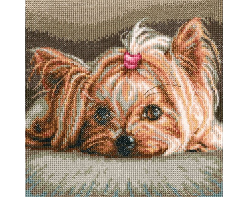 Cross-stitch kits "Pet", Article: M709
