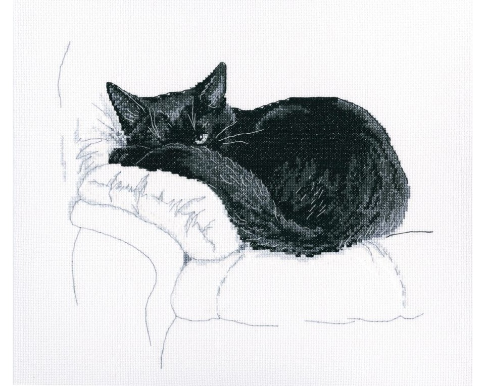 Cross-stitch kits "Among black cats", Article: M668