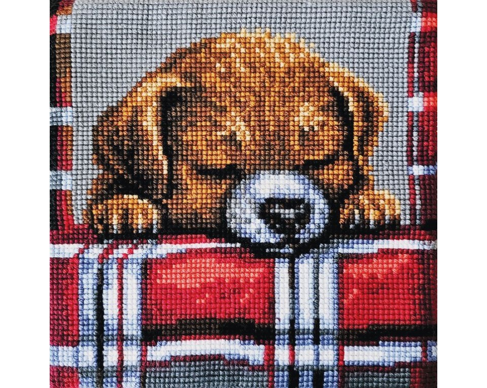 Beloved puppy, Article: 5 482