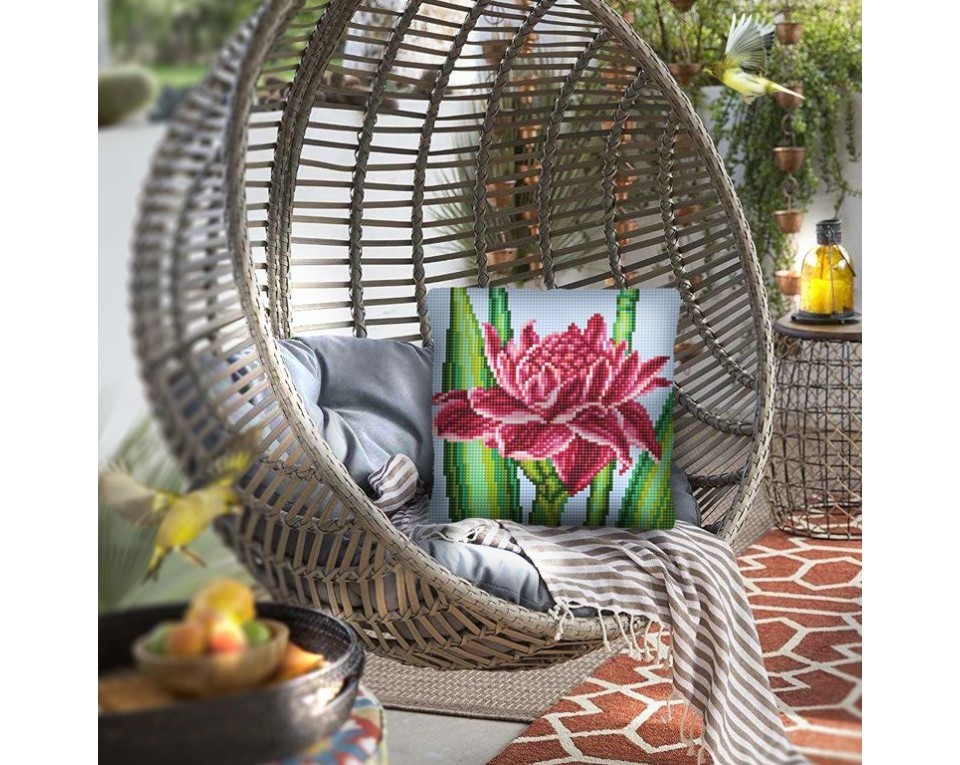 Lotus, Article: 5 486