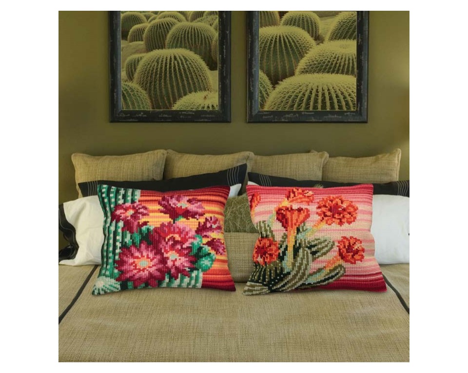 Sunset Cactus, Article: 5 101