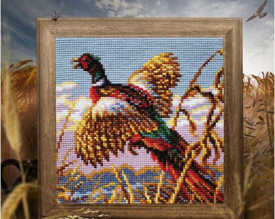 Pheasant, Article: 5 443