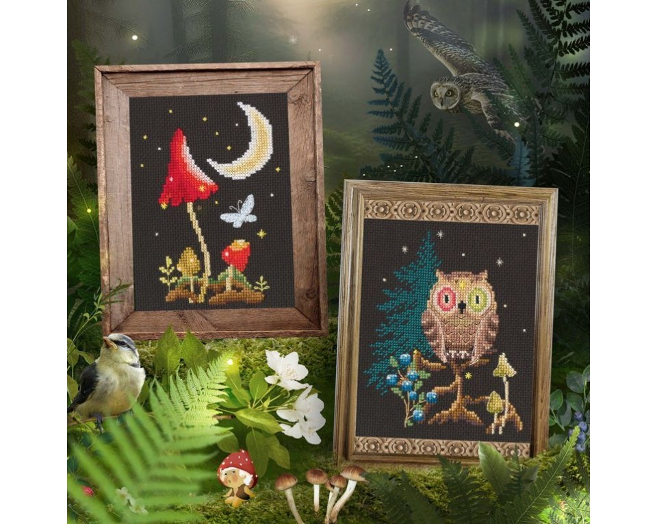 Cross-stitch kits, Article: C436
