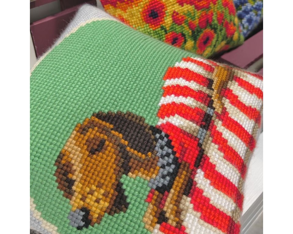 Dachshund on Couch, Article: 5 510