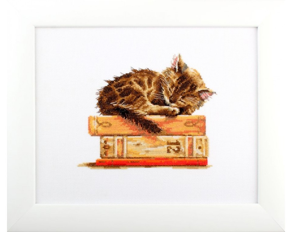 Cross-stitch kits "Cat, Article: M642