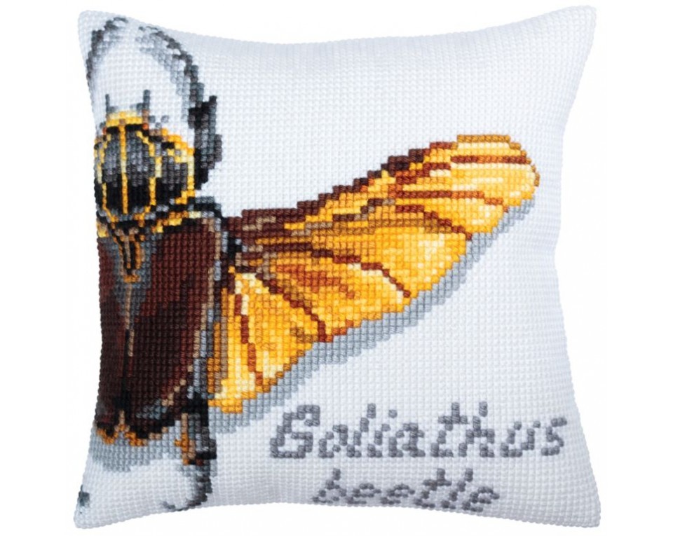 Goliathus beetle, Article: 5 362