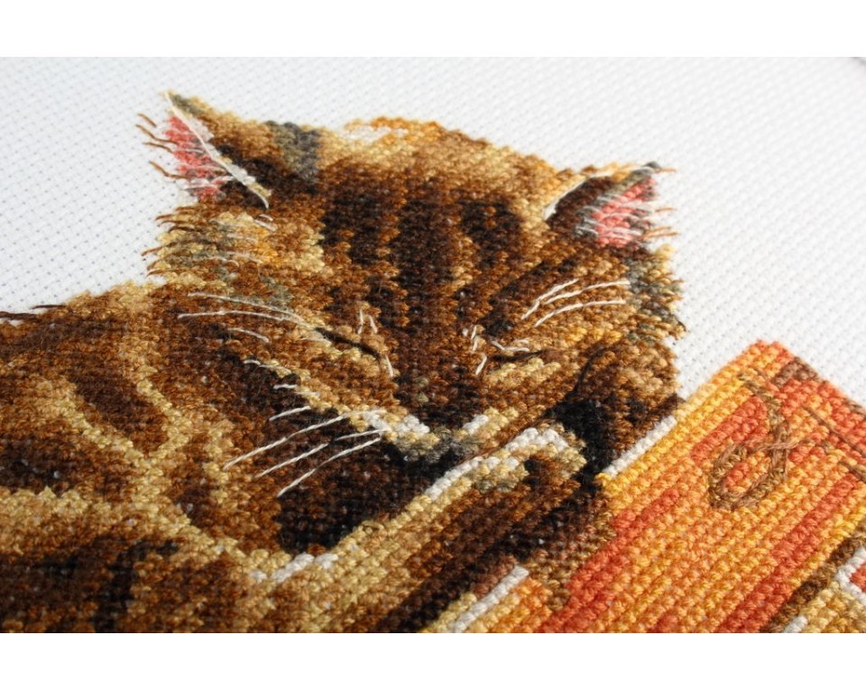 Cross-stitch kits "Cat, Article: M642