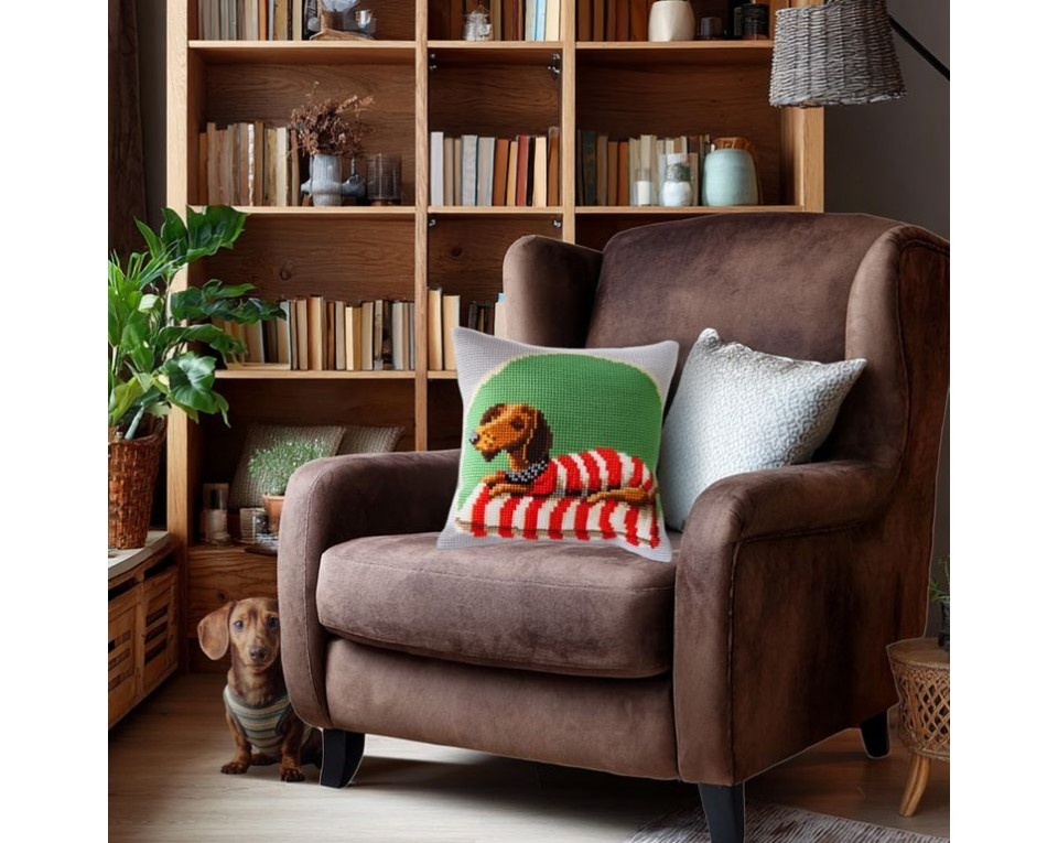 Dachshund on Couch, Article: 5 510
