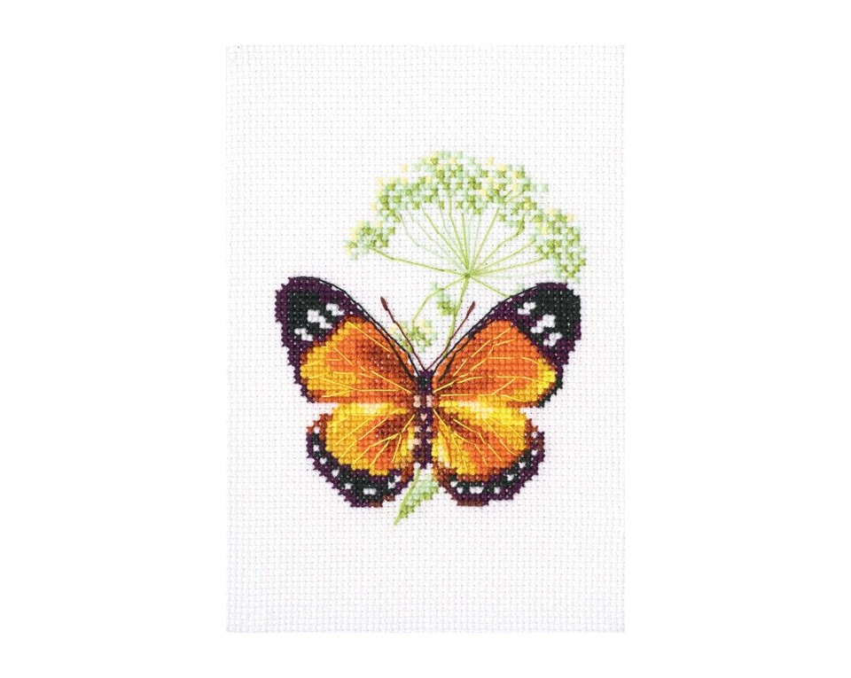 Cross-stitch kit "Caraway and butterfly", Article: EH365