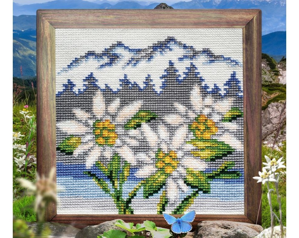 Edelweiss, Article: 5 440